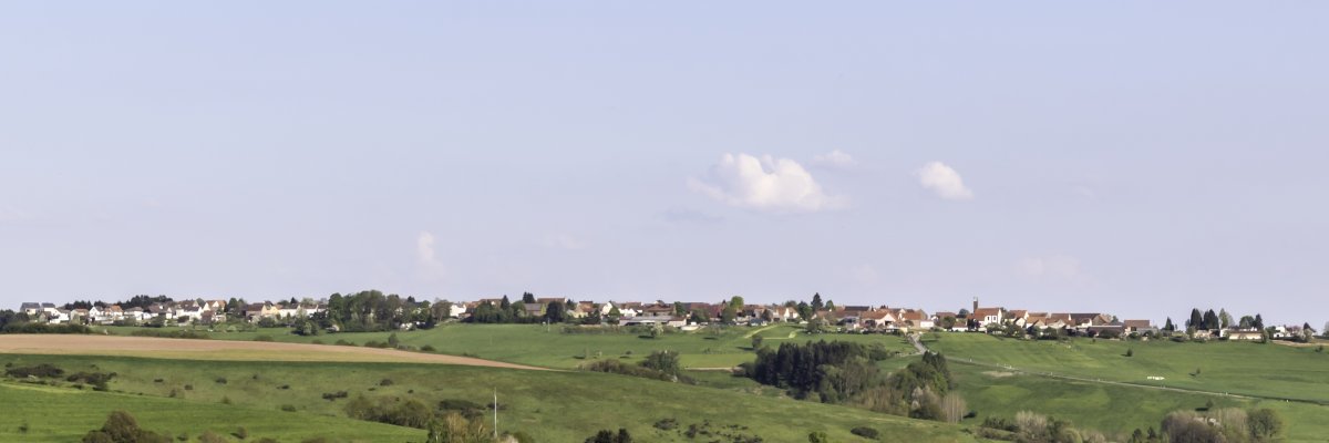 Bild der Ortsgemeinde Herschberg