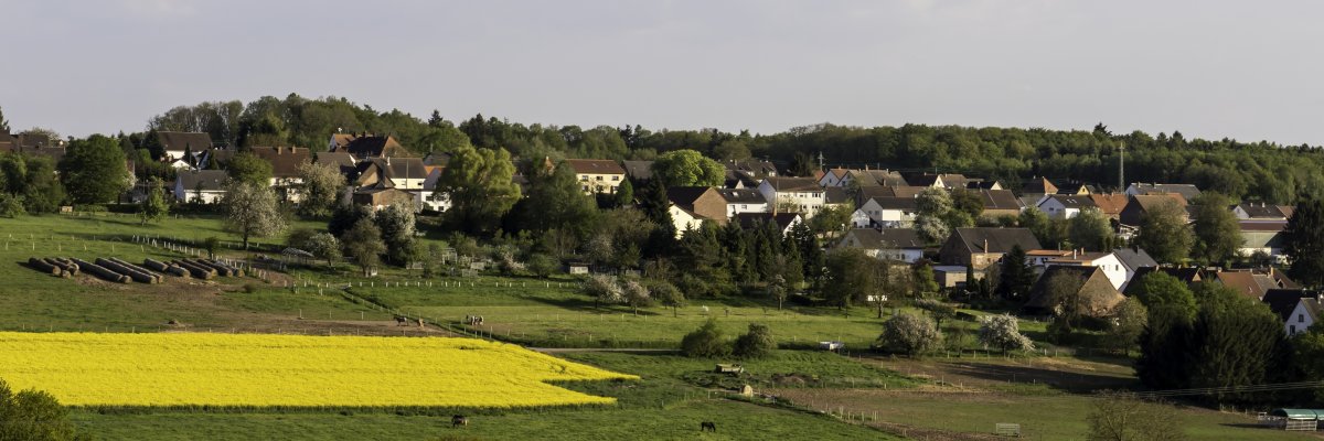 Bild der Ortsgemeinde Höheischweiler Bild der Ortsgemeinde Höheischweiler