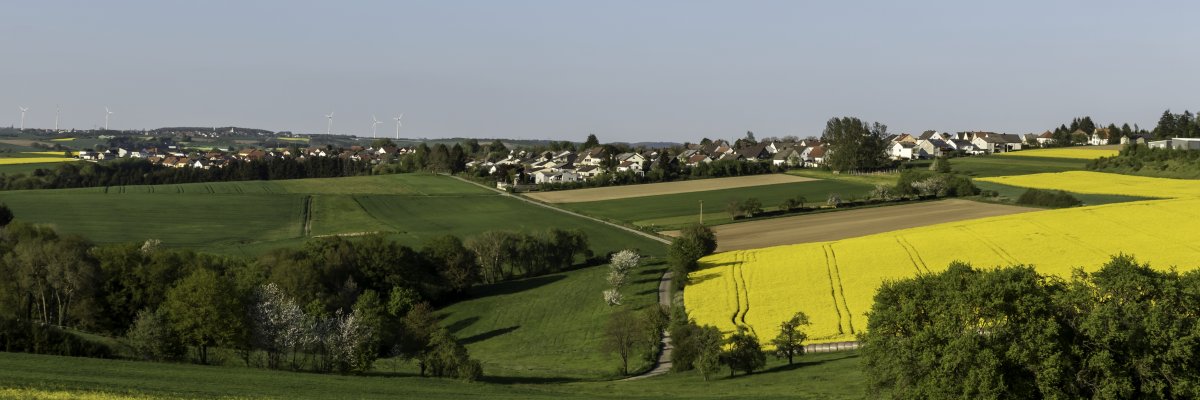 Bild der Ortsgemeinde Höhfröschen Bild der Ortsgemeinde Höhfröschen