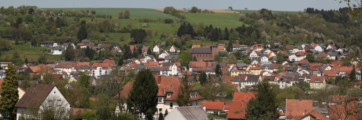Bild der Ortsgemeinde Thaleischweiler-Fröschen